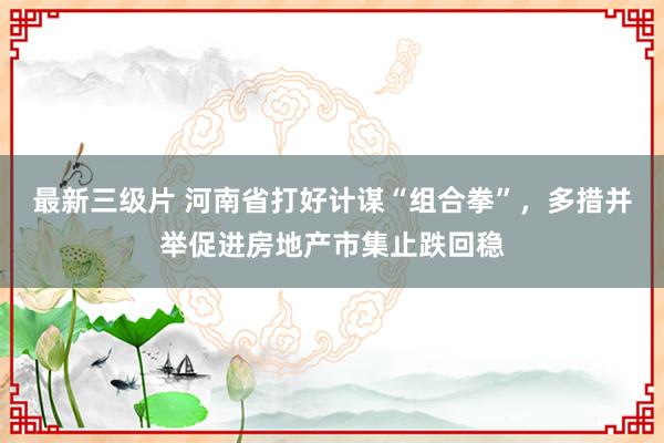 最新三级片 河南省打好计谋“组合拳”，多措并举促进房地产市集止跌回稳