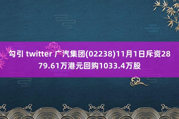 勾引 twitter 广汽集团(02238)11月1日斥资2879.61万港元回购1033.4万股