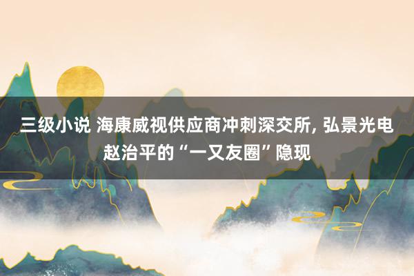 三级小说 海康威视供应商冲刺深交所, 弘景光电赵治平的“一又友圈”隐现