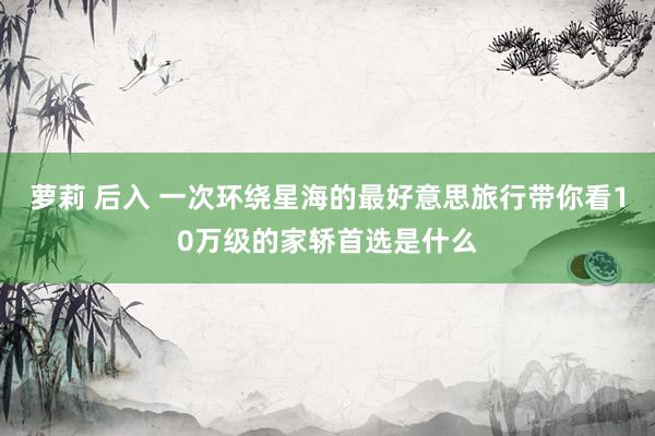 萝莉 后入 一次环绕星海的最好意思旅行带你看10万级的家轿首选是什么