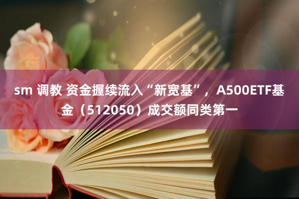 sm 调教 资金握续流入“新宽基”，A500ETF基金（512050）成交额同类第一