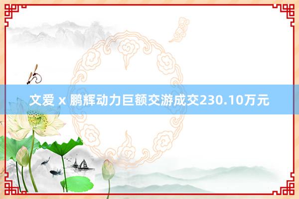 文爱 x 鹏辉动力巨额交游成交230.10万元