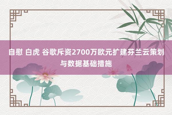 自慰 白虎 谷歌斥资2700万欧元扩建芬兰云策划与数据基础措施