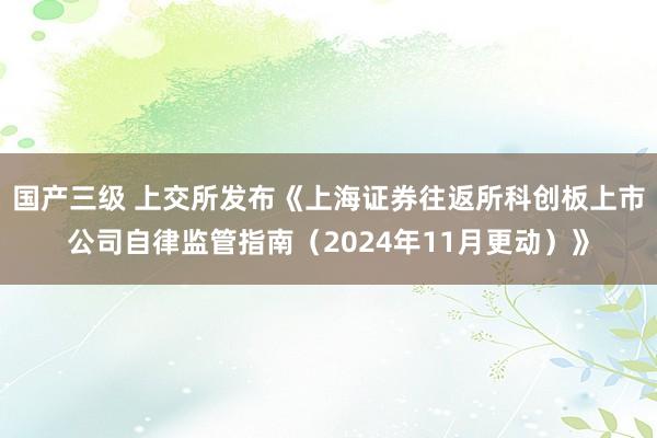 国产三级 上交所发布《上海证券往返所科创板上市公司自律监管指南（2024年11月更动）》