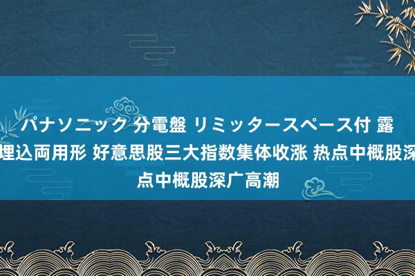 パナソニック 分電盤 リミッタースペース付 露出・半埋込両用形 好意思股三大指数集体收涨 热点中概股深广高潮