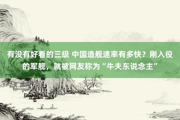 有没有好看的三级 中国造舰速率有多快？刚入役的军舰，就被网友称为“牛夫东说念主”