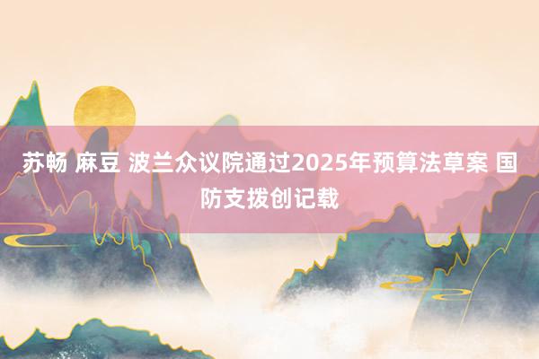 苏畅 麻豆 波兰众议院通过2025年预算法草案 国防支拨创记载