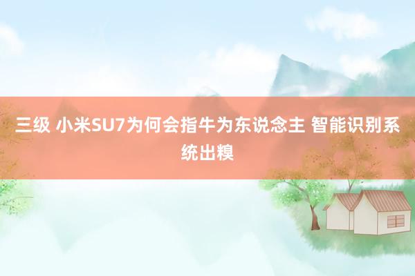 三级 小米SU7为何会指牛为东说念主 智能识别系统出糗