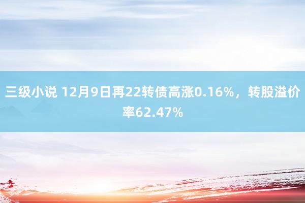 三级小说 12月9日再22转债高涨0.16%，转股溢价率62.47%