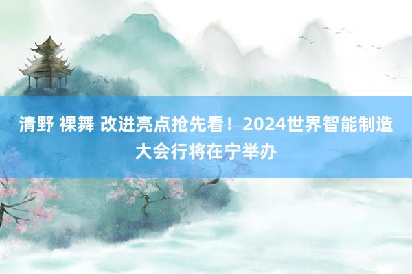 清野 裸舞 改进亮点抢先看！2024世界智能制造大会行将在宁举办