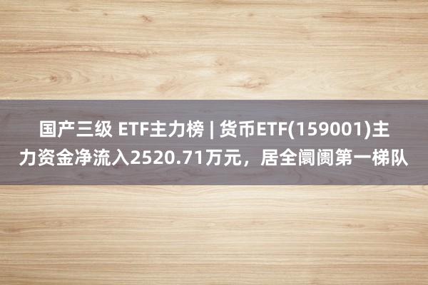 国产三级 ETF主力榜 | 货币ETF(159001)主力资金净流入2520.71万元，居全阛阓第一梯队