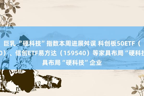 巨乳 “硬科技”指数本周进展舛误 科创板50ETF（588080）、信创ETF易方达（159540）等家具布局“硬科技”企业