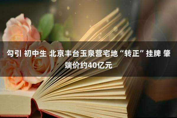 勾引 初中生 北京丰台玉泉营宅地“转正”挂牌 肇端价约40亿元