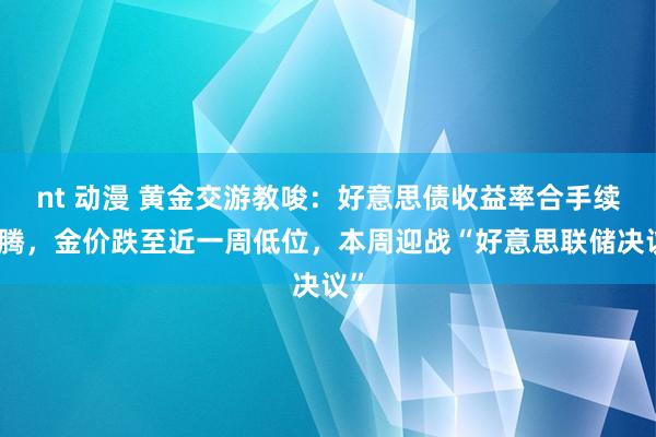 nt 动漫 黄金交游教唆：好意思债收益率合手续飞腾，金价跌至近一周低位，本周迎战“好意思联储决议”