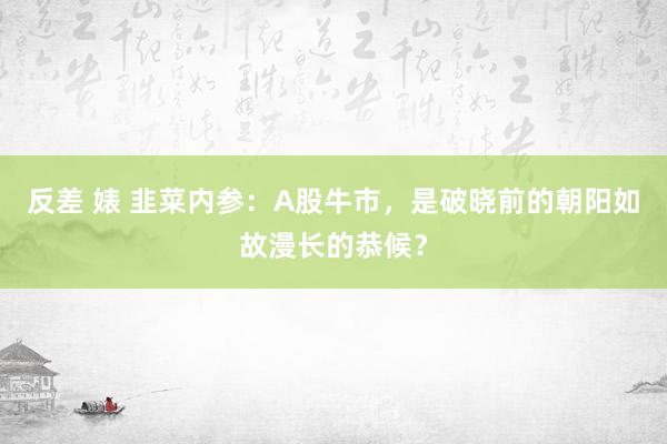 反差 婊 韭菜内参：A股牛市，是破晓前的朝阳如故漫长的恭候？