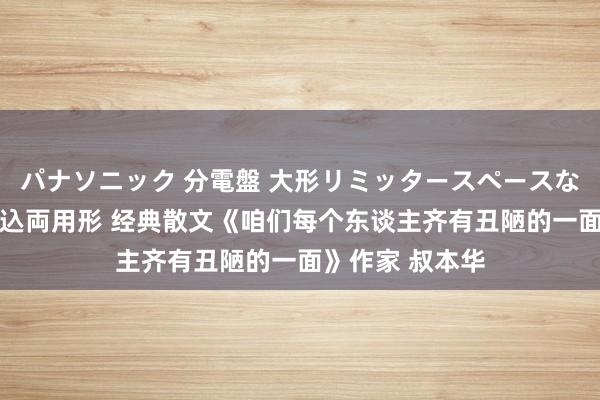 パナソニック 分電盤 大形リミッタースペースなし 露出・半埋込両用形 经典散文《咱们每个东谈主齐有丑陋的一面》作家 叔本华