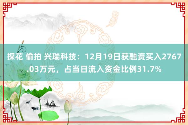 探花 偷拍 兴瑞科技：12月19日获融资买入2767.03万元，占当日流入资金比例31.7%