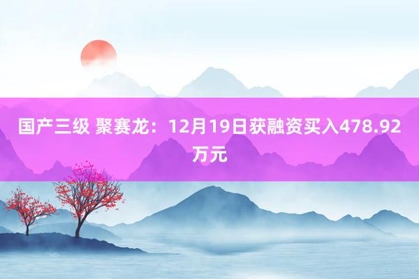 国产三级 聚赛龙：12月19日获融资买入478.92万元