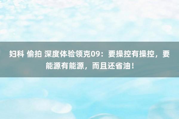 妇科 偷拍 深度体验领克09：要操控有操控，要能源有能源，而且还省油！