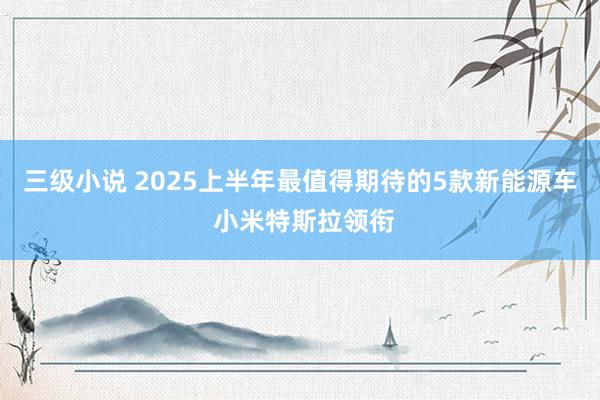 三级小说 2025上半年最值得期待的5款新能源车 小米特斯拉领衔