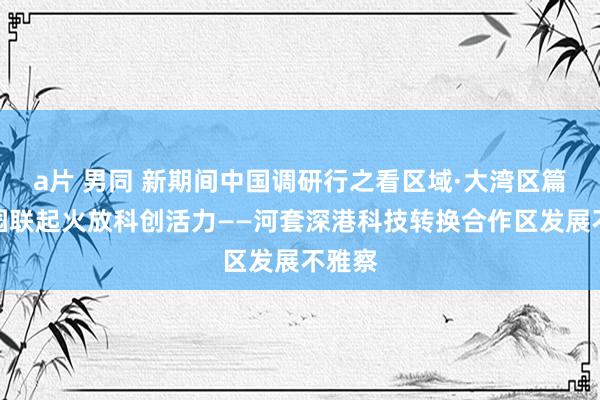 a片 男同 新期间中国调研行之看区域·大湾区篇｜双园联起火放科创活力——河套深港科技转换合作区发展不雅察