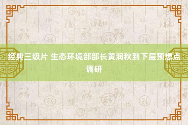 经典三级片 生态环境部部长黄润秋到下层预想点调研