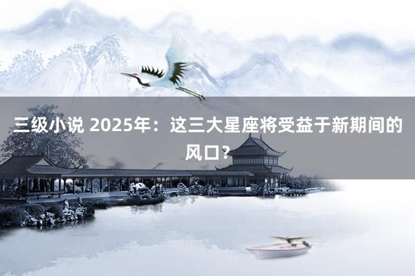 三级小说 2025年：这三大星座将受益于新期间的风口？