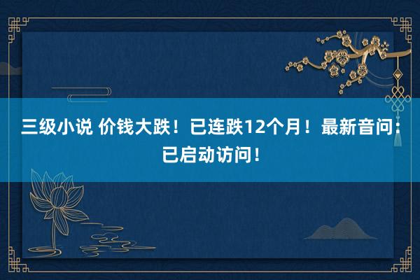 三级小说 价钱大跌！已连跌12个月！最新音问：已启动访问！