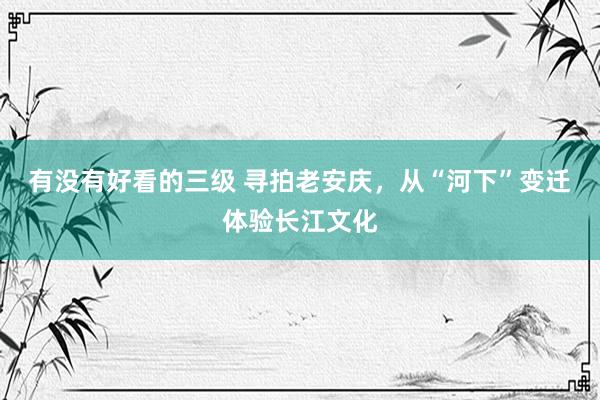 有没有好看的三级 寻拍老安庆，从“河下”变迁体验长江文化