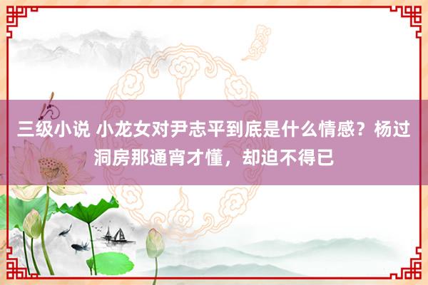 三级小说 小龙女对尹志平到底是什么情感？杨过洞房那通宵才懂，却迫不得已