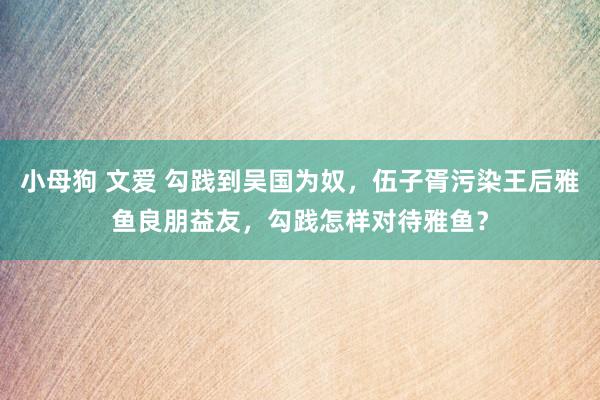 小母狗 文爱 勾践到吴国为奴，伍子胥污染王后雅鱼良朋益友，勾践怎样对待雅鱼？