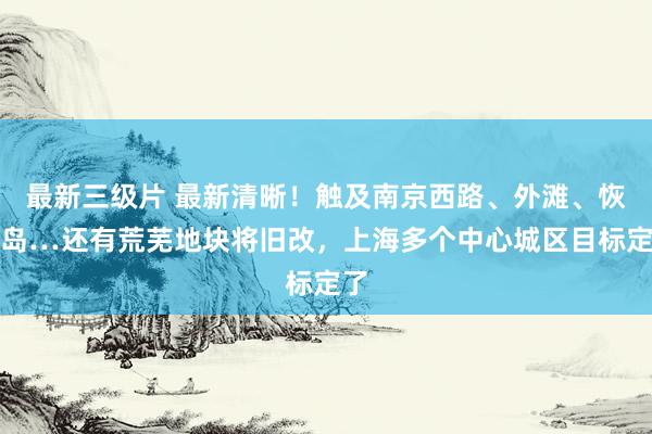 最新三级片 最新清晰！触及南京西路、外滩、恢复岛…还有荒芜地块将旧改，上海多个中心城区目标定了