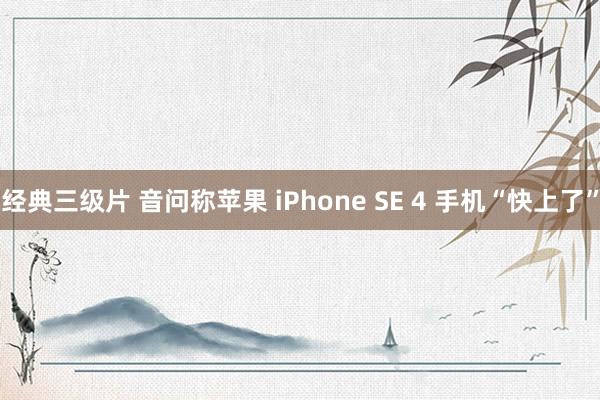 经典三级片 音问称苹果 iPhone SE 4 手机“快上了”