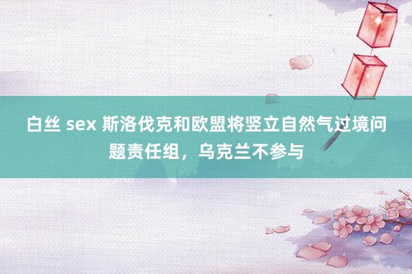 白丝 sex 斯洛伐克和欧盟将竖立自然气过境问题责任组，乌克兰不参与