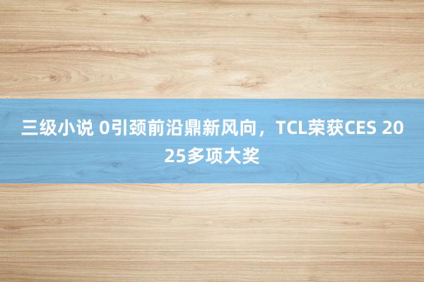 三级小说 0引颈前沿鼎新风向，TCL荣获CES 2025多项大奖