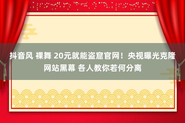 抖音风 裸舞 20元就能盗窟官网！央视曝光克隆网站黑幕 各人教你若何分离