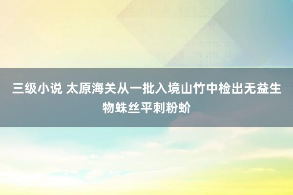 三级小说 太原海关从一批入境山竹中检出无益生物蛛丝平刺粉蚧