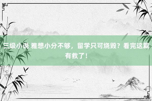 三级小说 雅想小分不够，留学只可烧毁？看完这篇有救了！